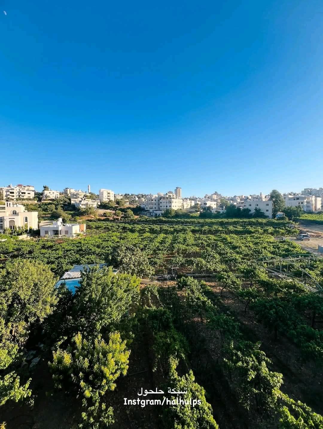 الخليل | موسوعة القرى الفلسطينية